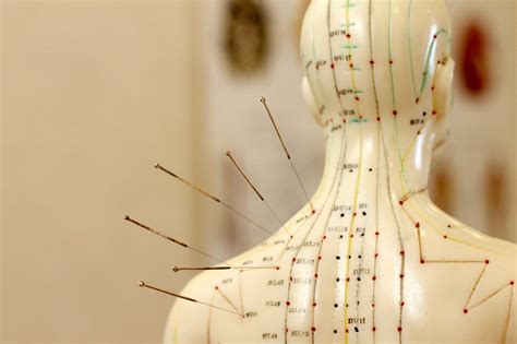 Unlock the Power of Healing: A Comprehensive Guide to Body Acupuncture Points