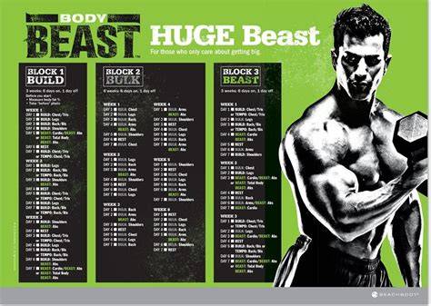 Body Beast Workout Real Women's Body Beast Review