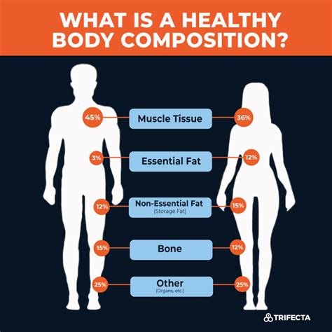 Body Composition Test Meaning