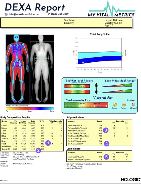 Body Fat Scale Dexa