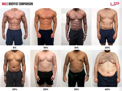 body fat visualiser