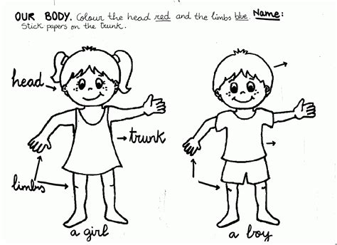 body parts coloring pages for toddlers