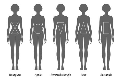 Body Shape Types