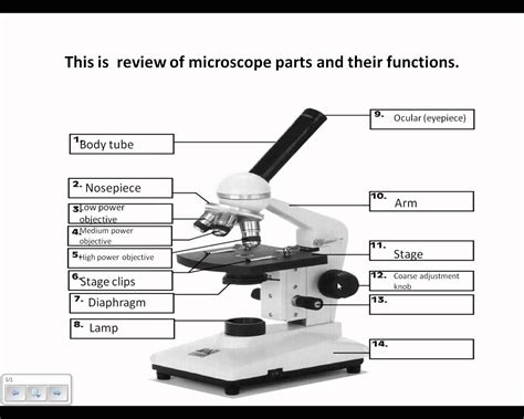 Body Tube Microscope Function