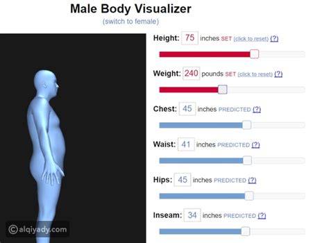 body vizualizer