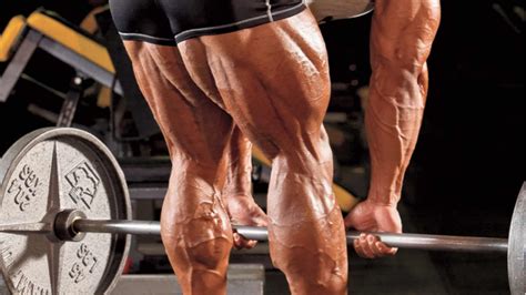 Bodybuilding Hamstring Exercises