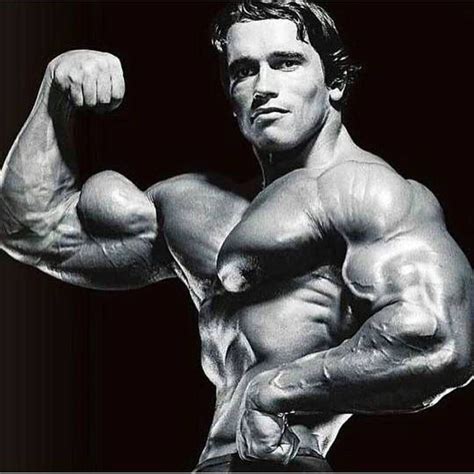 bodybuilding that look like arnold
