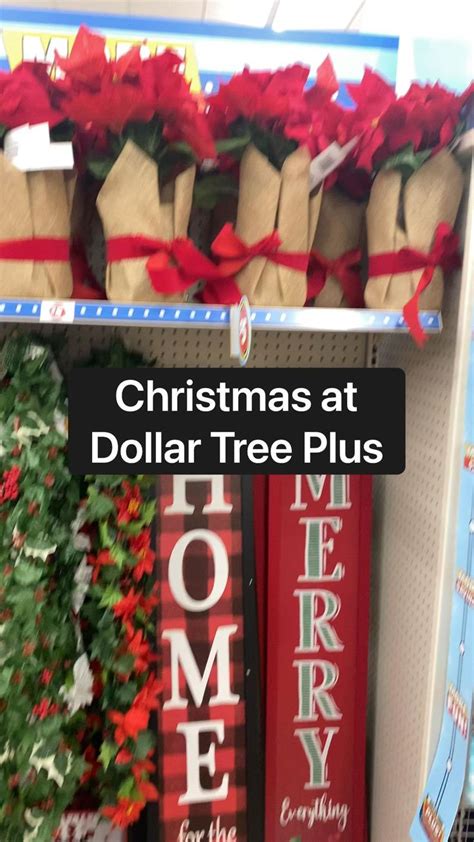 Bohemia Dollar Tree
