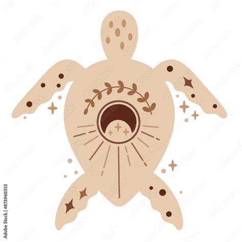 boho turtle leon onlyfans