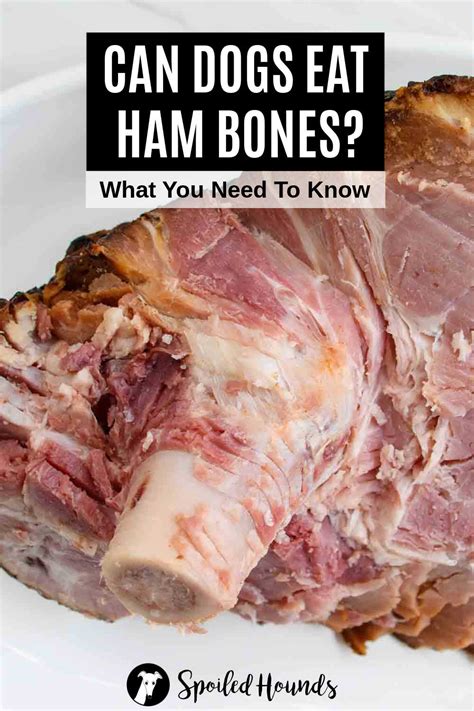 Boiled Ham Bones For Dogs