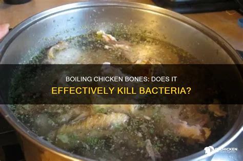 Boiling Chicken Kill Bacteria