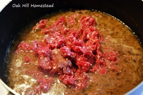 Boiling Frozen Ground Beef