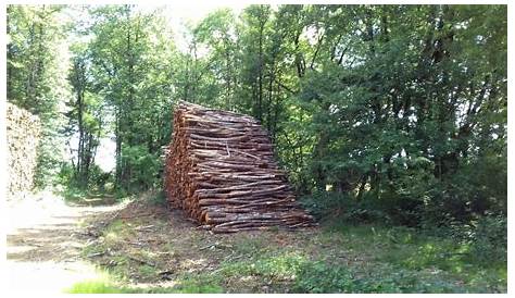 Livraison bois de chauffage en Drôme et Ardèche - chêne sec