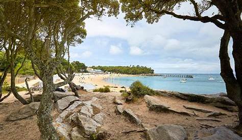 Le Bois de la Chaise Forêt de l'Île de Noirmoutier