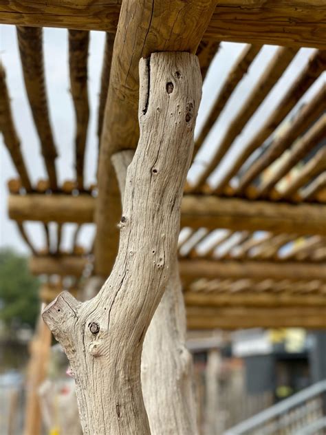 Pergolas en bois flotté et cabane bambou Pergolas DECONATURE