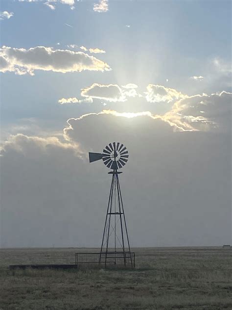 boise city farmers coop