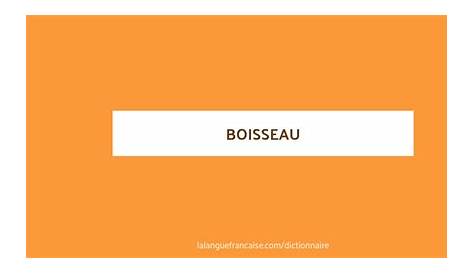Boisseau Definition Synonyme French Vocabulary Illustrated