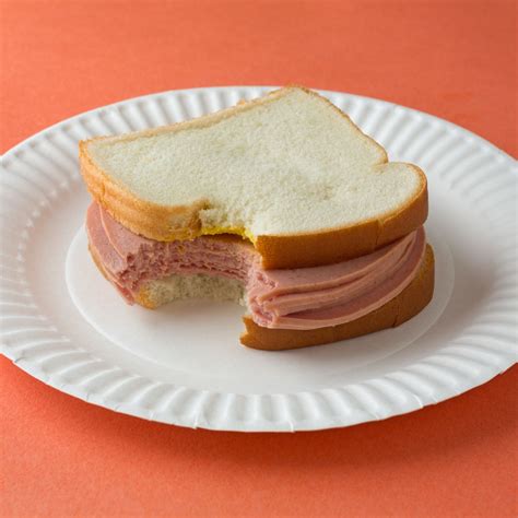 bologna meat with cheese sandwich