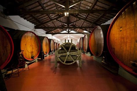 bologna wine tasting tour