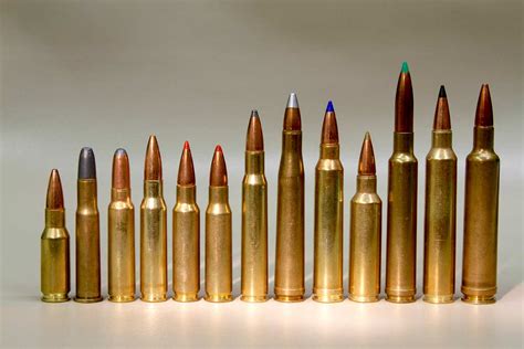 Bolt Action Rifle Ammo Cartridges