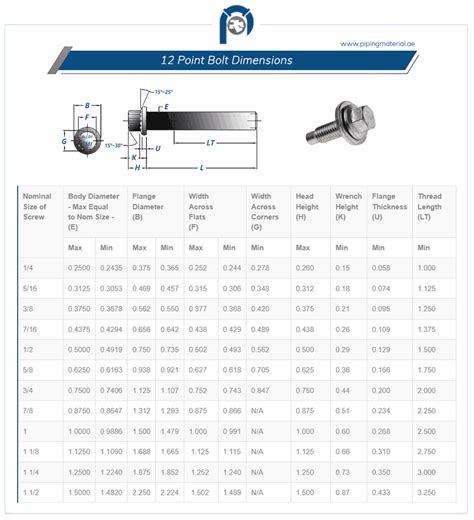 Bolt Main Dimensions