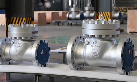 Bolted Cap Check Valve