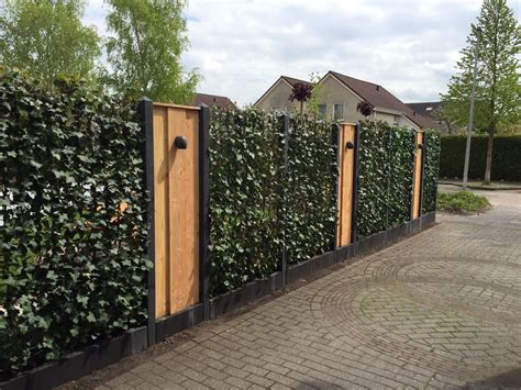 Bomen Erfafscheiding