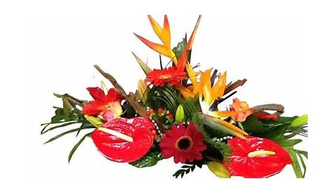 Bon Anniversaire Fleurs Exotiques Carte Joyeux Orchidee Phebe