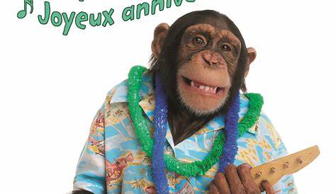 Bon Anniversaire Humour Homme Gif Happy Birthday Alain GIFs Download Original Images On