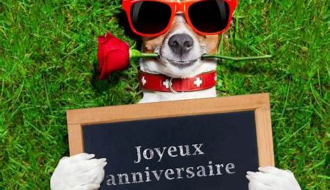 Les meilleurs voeux d'anniversaire, messages et citations