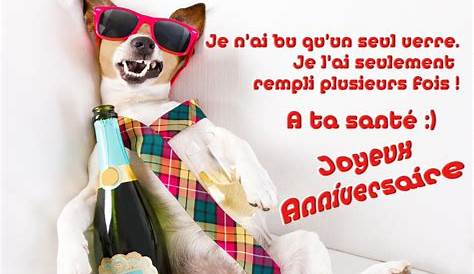 Bon Anniversaire Rigolote Cartes Virtuelles Humour Joliecarte