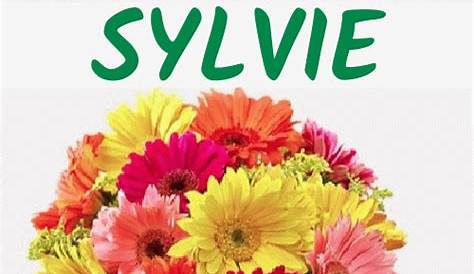 Bon Anniversaire Sylvie Images SYLVIE Blog De Xxmandarin92700xx