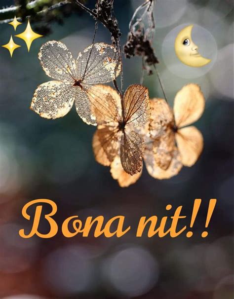 View Bona Nit Amb Petons References