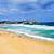 bondi beach australia real estate