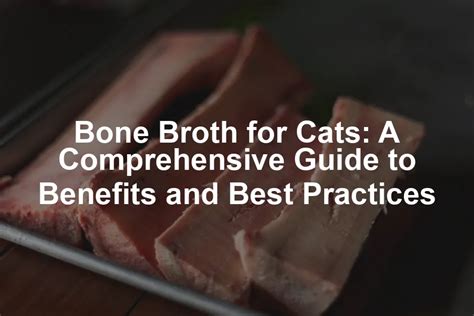 bone broth benefits for cats