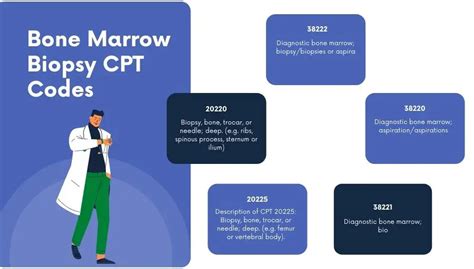 bone marrow biopsy cpt code 2023