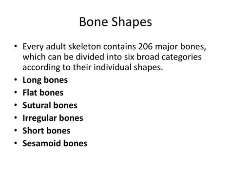bone structure shapes and sizes