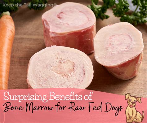 Bones For Dogs With Marrow