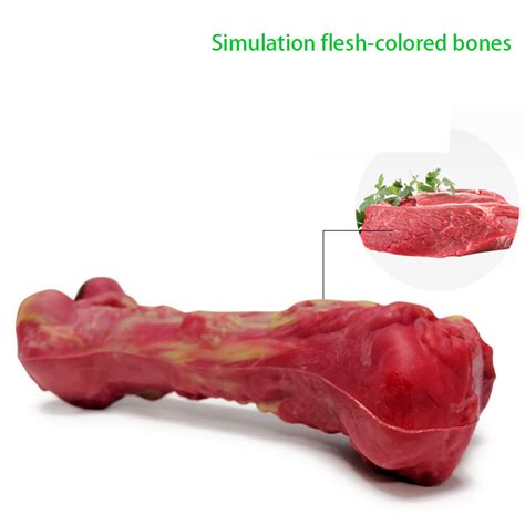 Bones Safe For Dogs To Chew