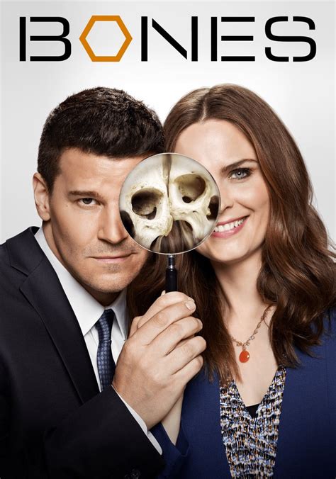 Review Of Bones Temporada 12 Online 2023
