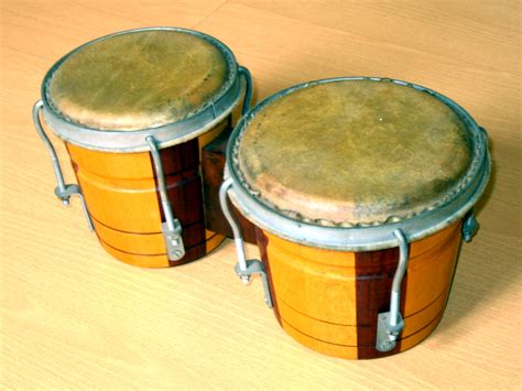 Bongo Drums Type
