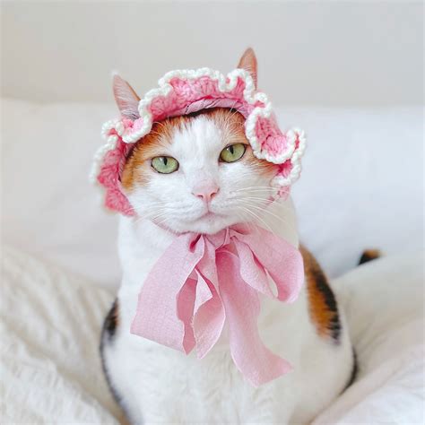 Bonnets For Cats