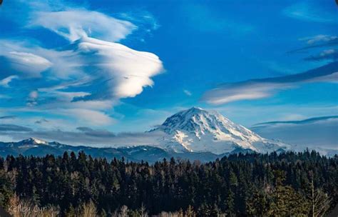 bonney lake community group