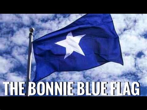 bonnie blue flag korean
