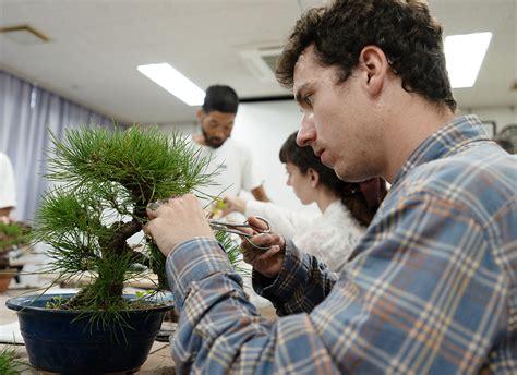 Bonsai Classes Oregon