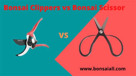 Bonsai Clippers Vs Scissors