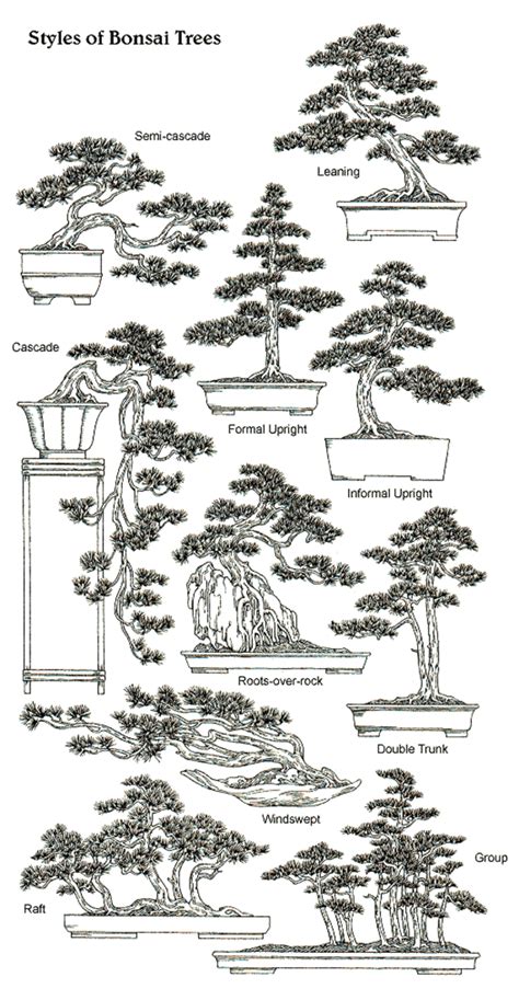 Bonsai Design Rules