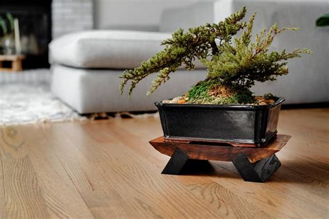 Bonsai Display Items