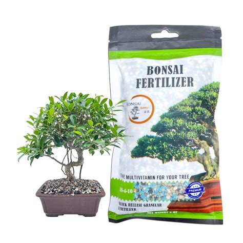 Bonsai Fertilizer Lowes