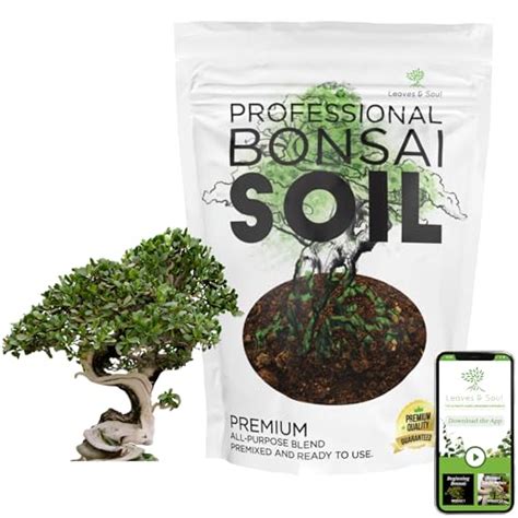 Bonsai Ficus Soil Mix